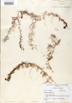 000000669-thumbnail.jpg