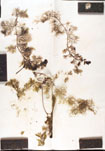 000000676-thumbnail.jpg