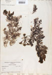 000000690-thumbnail.jpg