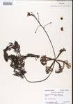 000000710-thumbnail.jpg