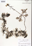 000000712-thumbnail.jpg