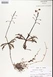 000000716-thumbnail.jpg