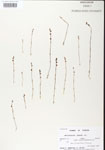 000000738-thumbnail.jpg