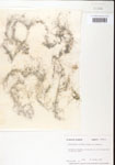 000000743-thumbnail.jpg