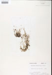 000000745-thumbnail.jpg