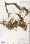 000000746-thumbnail.jpg
