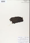 000000749-thumbnail.jpg