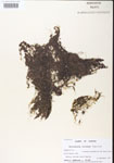 000000750-thumbnail.jpg