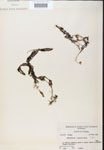 000000754-thumbnail.jpg