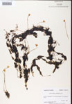 000000760-thumbnail.jpg