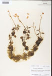 000000761-thumbnail.jpg