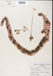 000000763-thumbnail.jpg