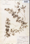 000000767-thumbnail.jpg