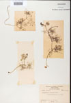 000000773-thumbnail.jpg