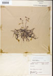 000000774-thumbnail.jpg