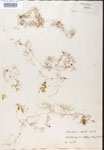 000000789-thumbnail.jpg