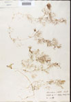 000000790-thumbnail.jpg