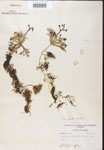 000000795-thumbnail.jpg