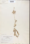 000000798-thumbnail.jpg