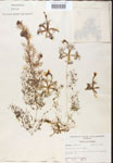 000000802-thumbnail.jpg