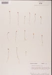 000000813-thumbnail.jpg