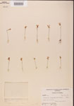 000000815-thumbnail.jpg