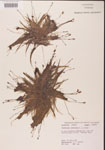 000000816-thumbnail.jpg