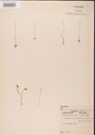 000000819-thumbnail.jpg
