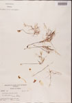 000000822-thumbnail.jpg
