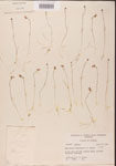 000000824-thumbnail.jpg