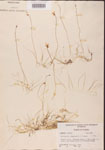000000825-thumbnail.jpg