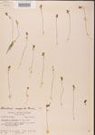 000000828-thumbnail.jpg