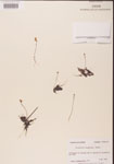 000000830-thumbnail.jpg