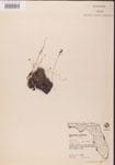 000000832-thumbnail.jpg