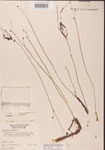 000000835-thumbnail.jpg