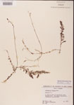 000000836-thumbnail.jpg