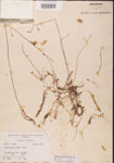 000000837-thumbnail.jpg