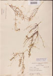 000000840-thumbnail.jpg