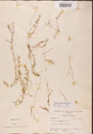 000000841-thumbnail.jpg