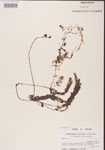 000000844-thumbnail.jpg
