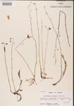 000000845-thumbnail.jpg