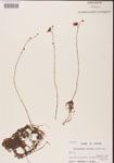 000000846-thumbnail.jpg