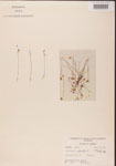 000000849-thumbnail.jpg