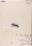 000000850-thumbnail.jpg