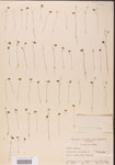000000852-thumbnail.jpg