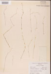 000000854-thumbnail.jpg