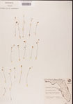 000000855-thumbnail.jpg
