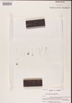000000862-thumbnail.jpg
