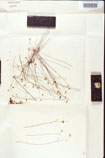000000870-thumbnail.jpg