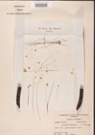000000872-thumbnail.jpg